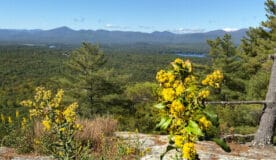 View from Sabattus