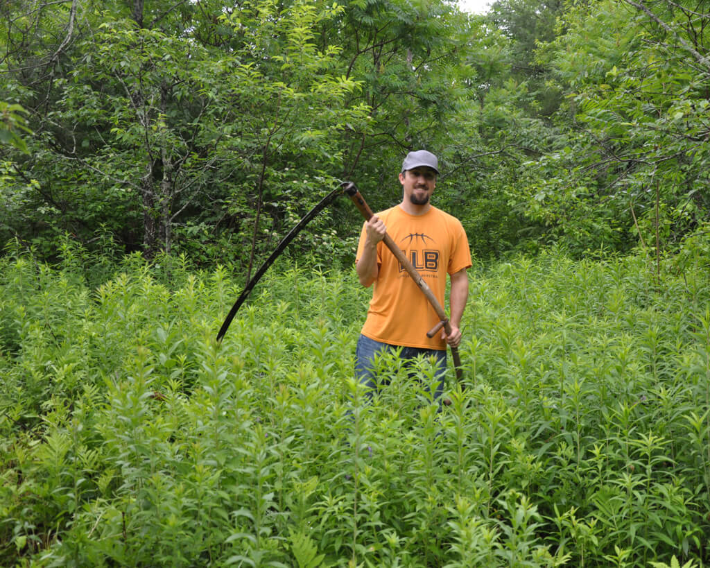Game Cam Field Before